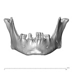 NGA88 SK48 Homo sapiens mandible anterior