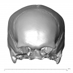 NGA88 SK491 Homo sapiens cranium anterior
