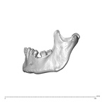 NGA88 SK578 Homo sapiens mandible lateral left