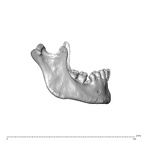 NGA88 SK578 Homo sapiens mandible lateral right