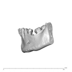 NGA88 SK578 Homo sapiens mandible highres lateral left