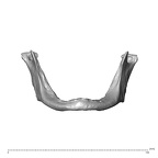 NGA88 SK593 Homo sapiens mandible anterior
