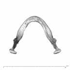 NGA88 SK593 Homo sapiens mandible superior