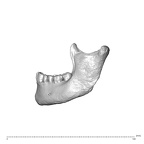 NGA88 SK657 Homo sapiens mandible lateral left