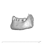 NGA88 SK657 Homo sapiens mandible dentition lateral left