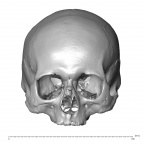 NGA88 SK742 H. sapiens cranium