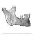 NGA88 SK742 Homo sapiens mandible lateral