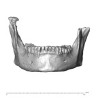 NGA88 SK750 Homo sapiens mandible anterior