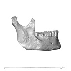 NGA88 SK750 Homo sapiens mandible lateral right