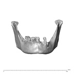 NGA88 SK752 Homo sapiens mandible anterior