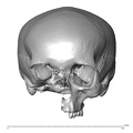 NGA88 SK766 Homo sapiens cranium anterior