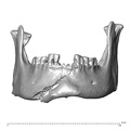 NGA88 SK766 Homo sapiens mandible anterior