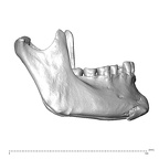 NGA88 SK766 Homo sapiens mandible lateral right