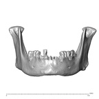 NGA88 SK830 Homo sapiens mandible anterior