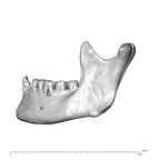 NGA88 SK830 Homo sapiens mandible lateral left