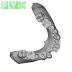 NGA88 SK860 Homo sapiens mandible dentition ply