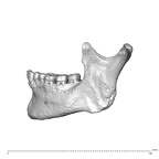 NGA88 SK977 Homo sapiens mandible lateral left