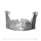 NGB89 SK22 Homo sapiens mandible anterior