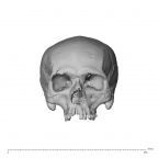 NGB89 SK51 H. sapiens cranium
