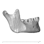 NGB89 SK52 Homo sapiens mandible lateral right