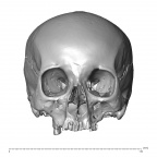 NGB89 SK6 H. sapiens cranium