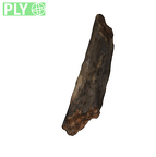 DNH 109 ulna frag