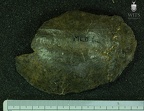 MLD 10 A. africanus cranium