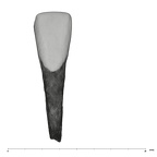 UW101-1133 Homo naledi LRI1 labial