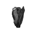 UW101-1142 Homo naledi hide distal