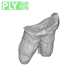 UW101-1362 Homo naledi ULP4 ply