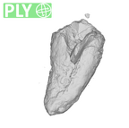 UW101-1403 Homo naledi URC ply