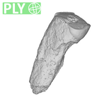 UW101-1510 Homo naledi URC ply