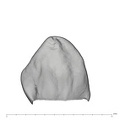 UW101-1548 Homo naledi ULC lingual