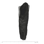 UW101-245 Homo naledi LRC labial