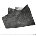UW101-361 Homo naledi hide buccal