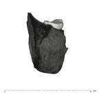 UW101-361 Homo naledi hide distal