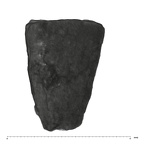 UW101-525+1574 Homo naledi URM1 ROOT side 2