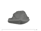 UW101-652 Homo naledi Cusp apical
