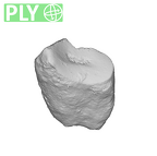 UW101-654 Homo naledi M root ply