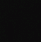 UW101-809 Homo naledi LLM1 gif