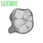 UW101-809 Homo naledi LLM1 ply