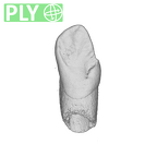UW101-886 Homo naledi LRC ply