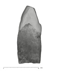 UW101-952 Homo naledi ULI2 mesial
