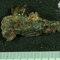 STW_106_Australopithecus_africanus_partial_mandible_lateral.JPG