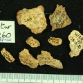 STW 252 260 Australopithecus africanus cranial fragments