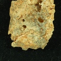 STW 252 263 Australopithecus africanus cranial fragment