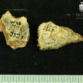 STW 252s Australopithecus africanus cranial fragments 1