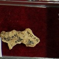 STW 257 A. africanus cranial fragment
