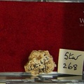 STW 268 Australopithecus africanus cranial fragment
