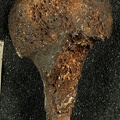 STW 328 Australopithecus africanus HUMR posterior